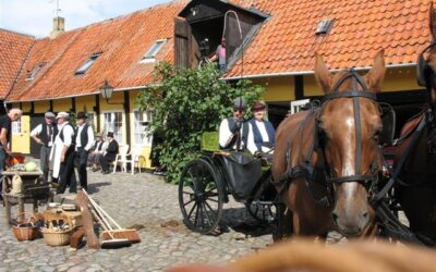 Filmoptagelser i gården